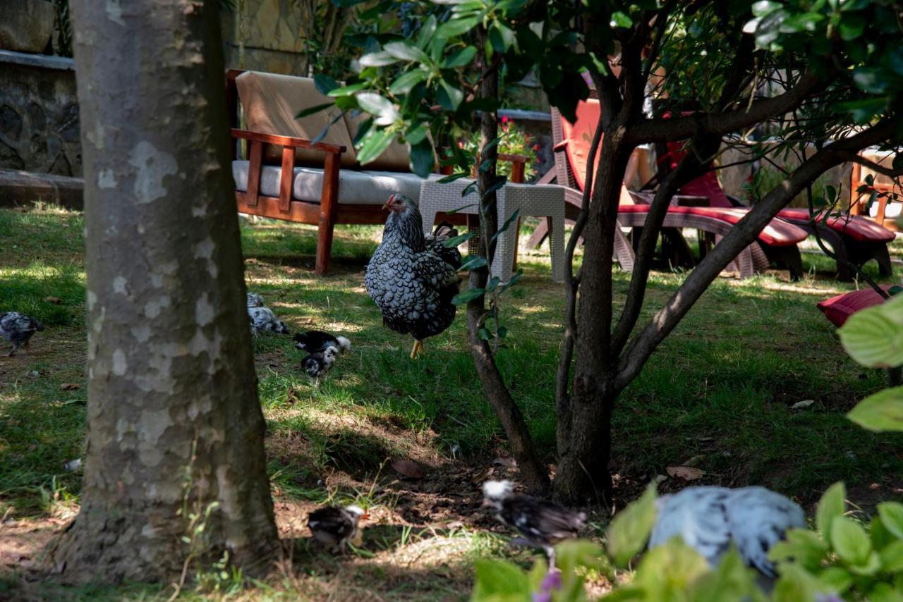 Fener Motel Ağva Eksteriør billede